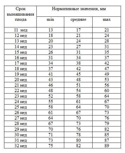 Таблица норм бпр, или бипариетального размера головы, мрм и других показателей фетометрии плода по неделям беременности