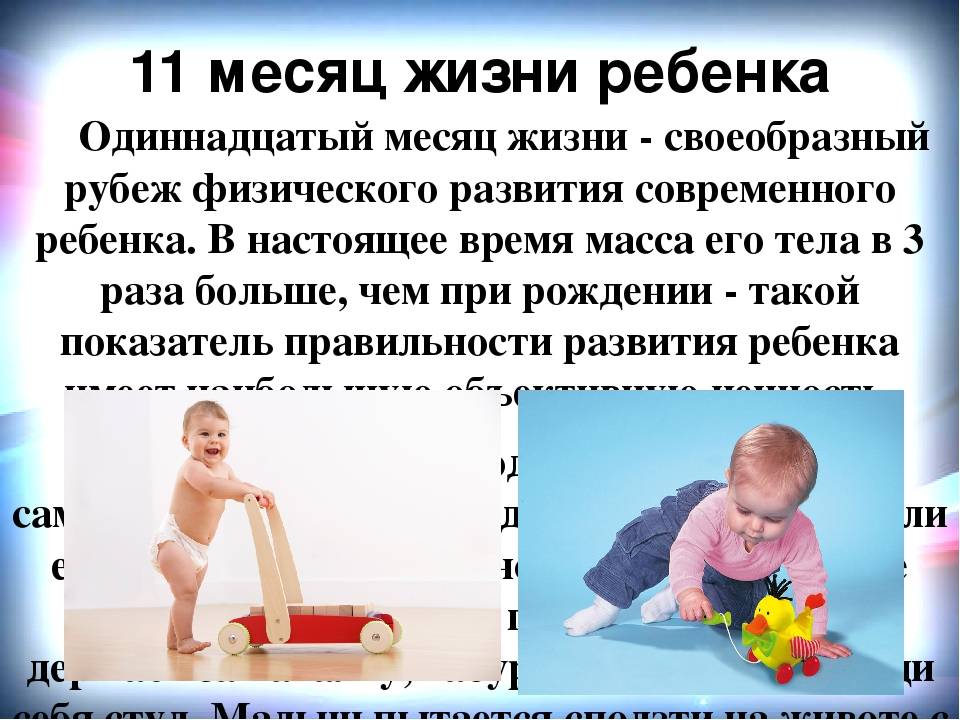 Что должен уметь ребенок в 11 месяцев? что умеет ребенок в 11 месяцев? как развивать ребенка в 11 месяцев? развивающие игры для детей 11 месяцев