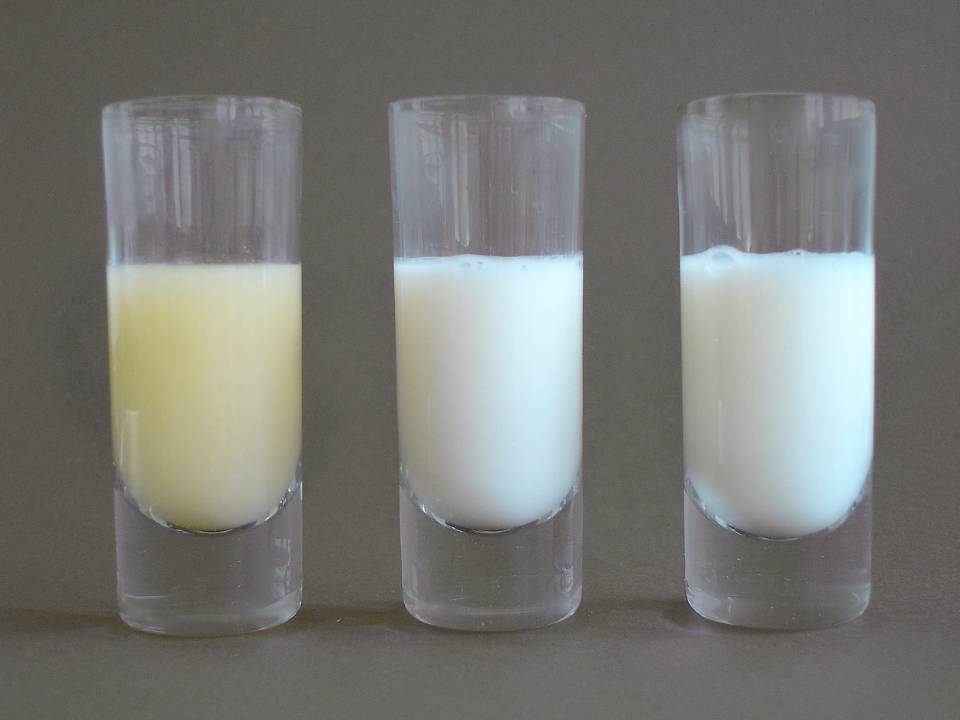 Как избавиться от грудного молока, что сделать, чтобы оно пропало и перегорело?