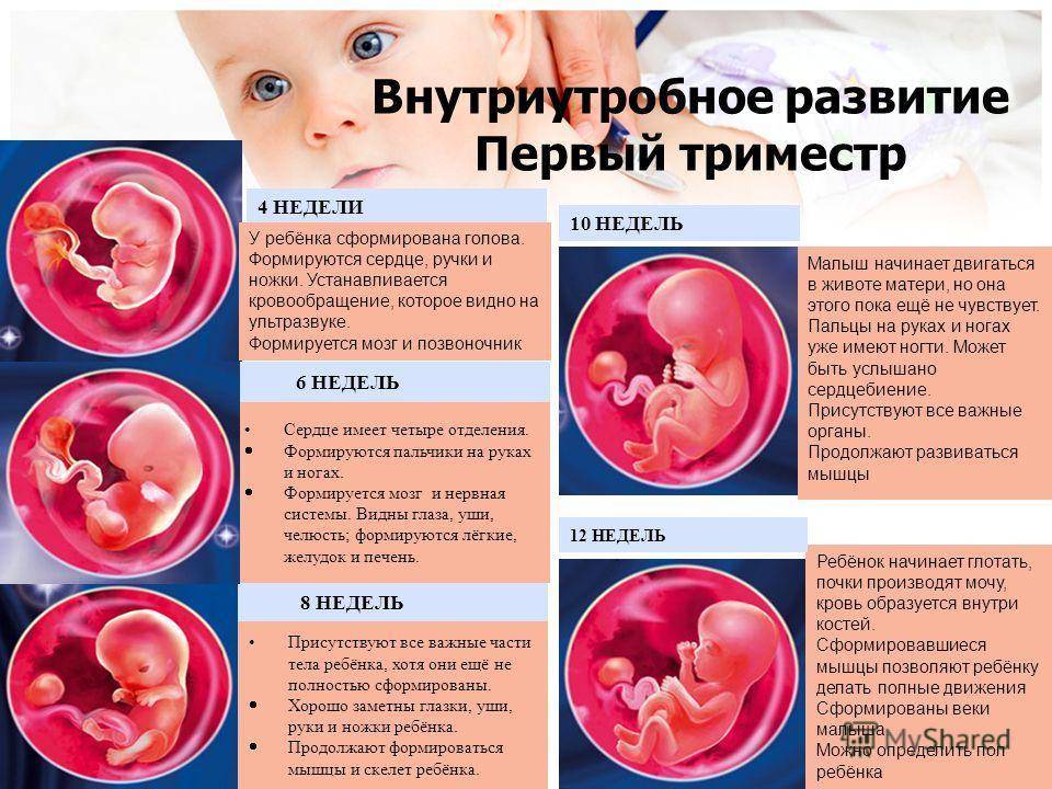 Молочница при беременности: лечение, средства, свечи