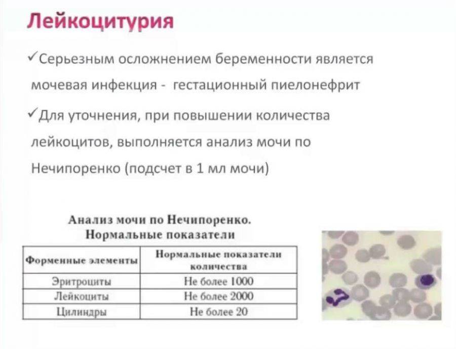 Анализ на дисбактериоз у детей. как сдавать кал для анализа. расшифровка результатов анализа на дисбактериоз