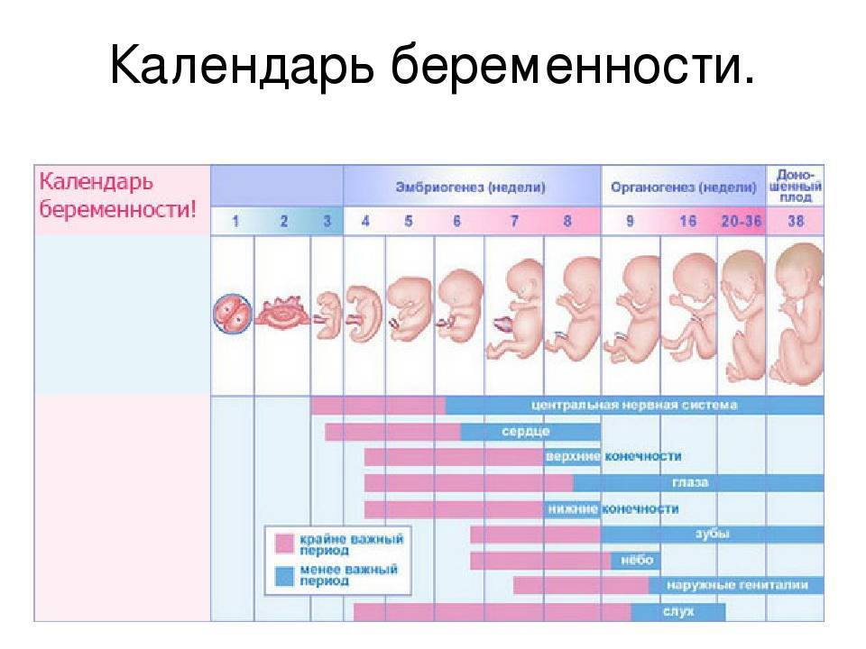 С какой недели ребенок считается доношенным? во сколько недель бывает доношенная беременность? признаки доношенности. почему бывает маловесный ребенок при рождении на доношенном сроке?