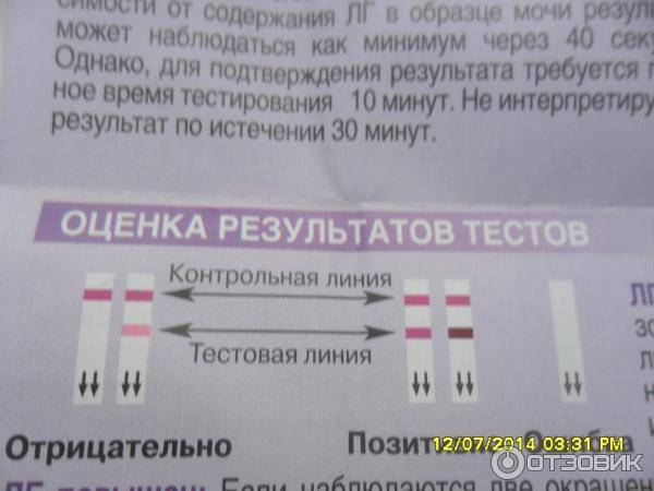 Тесты на овуляцию. рекомендации по использованию