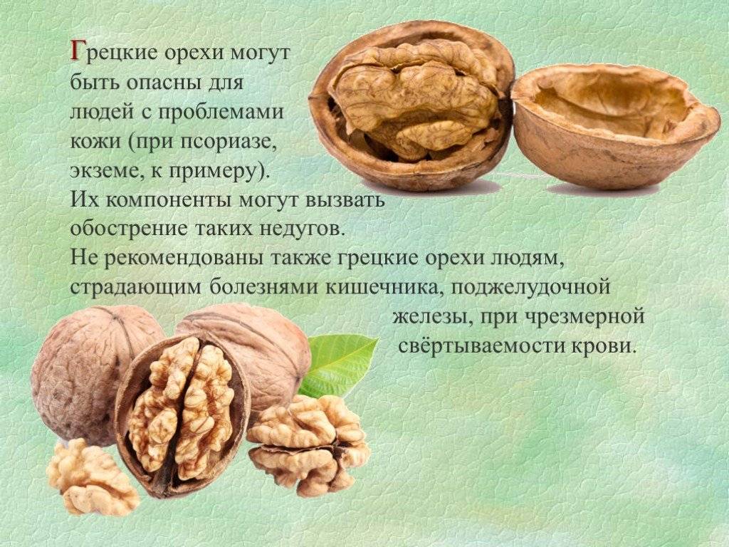 Какие орехи можно употреблять при беременности?