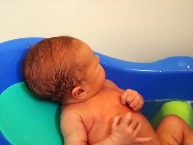Череда для купания новорожденных или грудничков: как заварить, сколько пакетиков добавлять для ребенка и другие вопросы