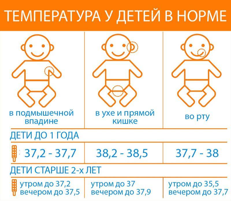 Шесть вопросов о прогулках с малышом - ребенком первого года жизни