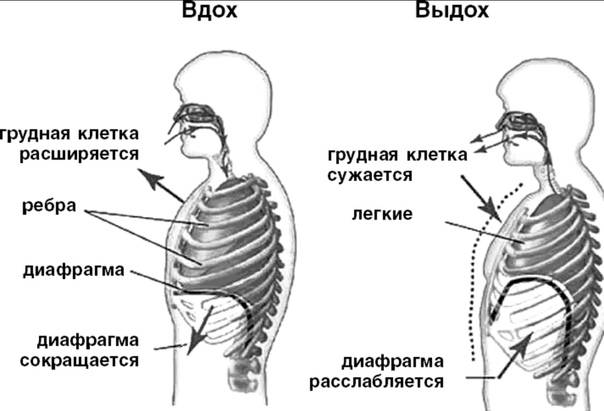 Боль при вдохе в грудной клетке слева, справа: причины, что делать