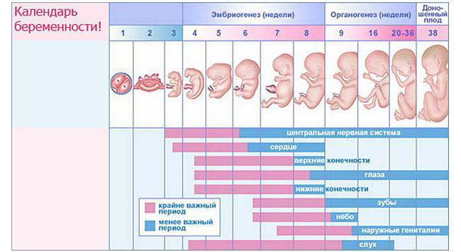 Развитие новорожденного по неделям после рождения: как меняется ребенок за 1 месяц жизни
