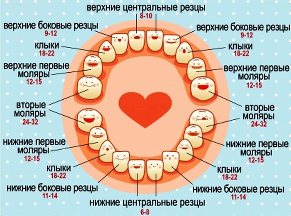 Смена молочных зубов