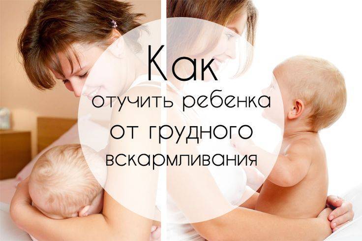 Как завершить грудное вскармливание - правильное завершение грудного вскармливания - agulife.ru