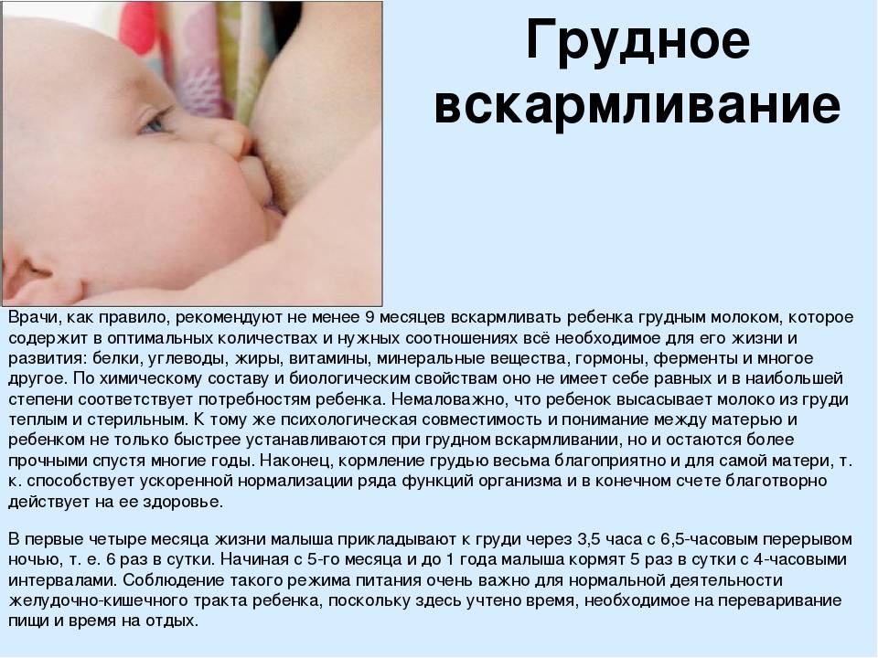 ✅ когда после кормления можно купать ребёнка? как правильно провести купание новорождённого в первый раз: инструкция для молодых родителей - mariya-timohina.ru