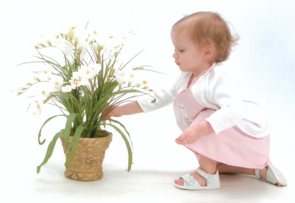Лучшие растения для детской комнаты: какие цветы безопасны