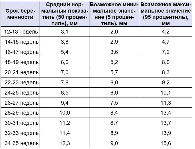 Неделя с 13 ноября 2023. ТВП В 13 недель норма таблица. Носовая кость  в 13 недель беременности норма таблица. Толщина воротникового пространства в 13 недель норма. Норма ТВП по неделям беременности.