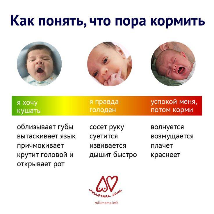 Режим вскармливания новорожденного. кормить малыша по режиму или по требованию: что лучше? отвечает врач-педиатр