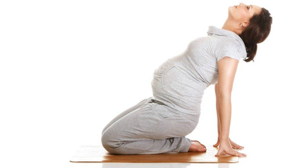 Йога для беременных: 2–3 триместр, упражнения в домашних условиях, видео
