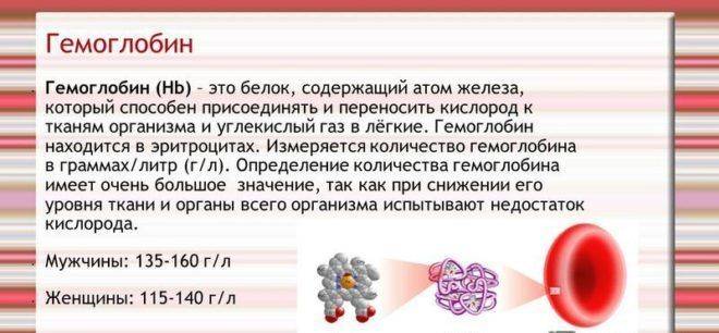 Железо в крови. 10 продуктов, которые повысят гемоглобин зимой | общество | аиф красноярск