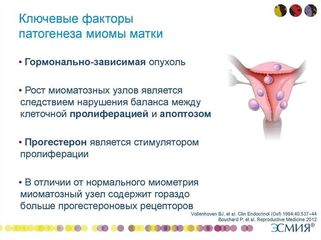 Аденомиоз матки - лечение в москве, симптомы аденомиоза матки, клинический госпиталь на яузе