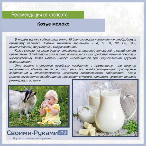 Козье молока для грудничка: с какого возраста можно давать и как?