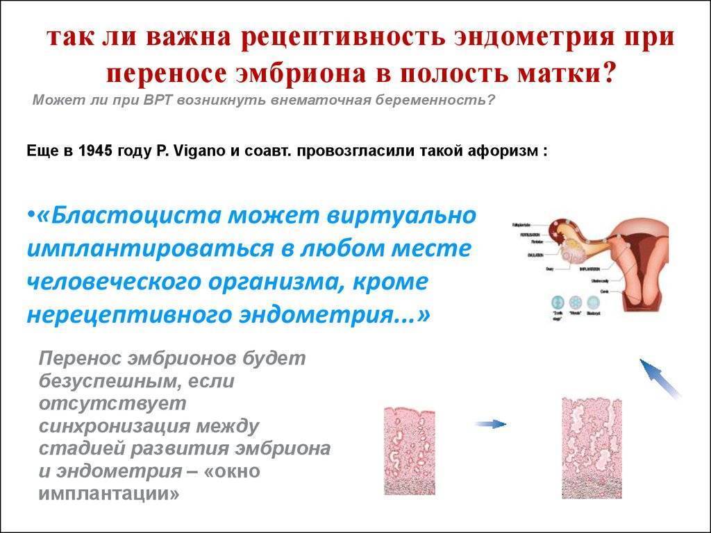 Эко с пгд эмбриона (преимплантационная генетическая диагностика) в клинике «линия жизни» | стоимость пгд диагностики при эко в москве в 2021 году