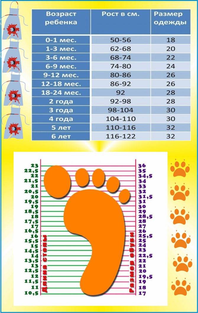 Размерная сетка детской одежды (таблица размеров)