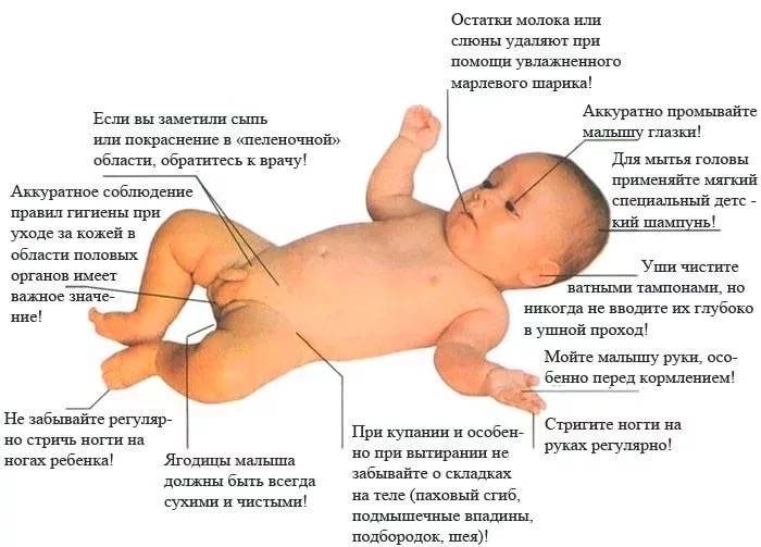 Советы гинеколога: как ухаживать за новорожденной девочкой? – академический медицинский центр (amc) - медицинская клиника в самом центре киева