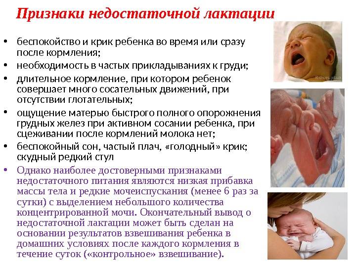 Ребёнок не берёт грудь психует и плачет: перечень всех возможных поводов беспокойства и помощь малышу