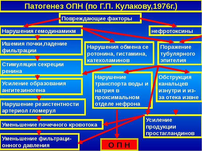 Хроническая почечная недостаточность у детей - симптомы болезни, профилактика и лечение хронической почечной недостаточности у детей, причины заболевания и его диагностика на eurolab