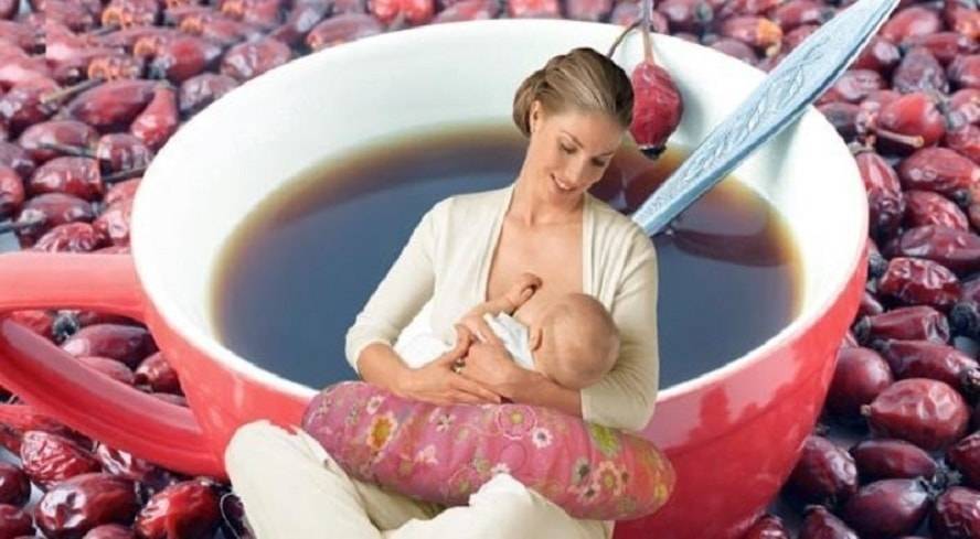 Можно ли пить ромашку маме при грудном вскармливании