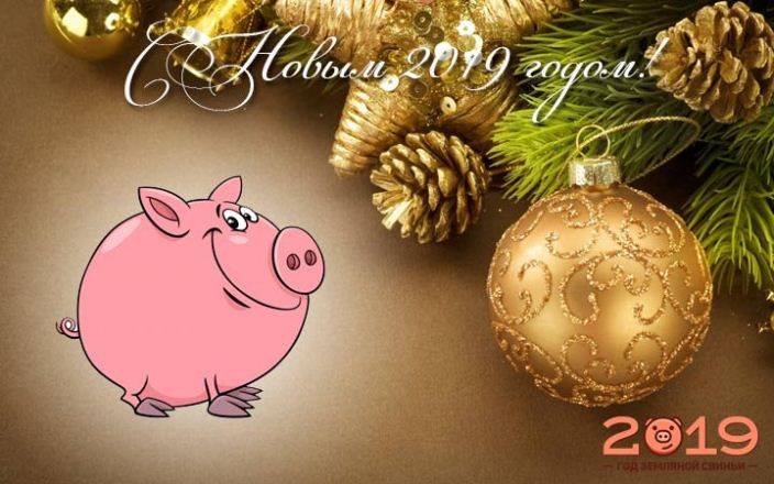 Что подарить ребёнку на новый год: 15+ идей подарка на 2020 год свиньи