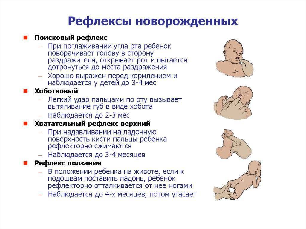 Рефлексы новорожденного