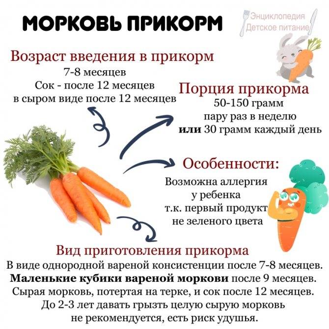 Пюре из моркови для грудничка - всё о грудничках