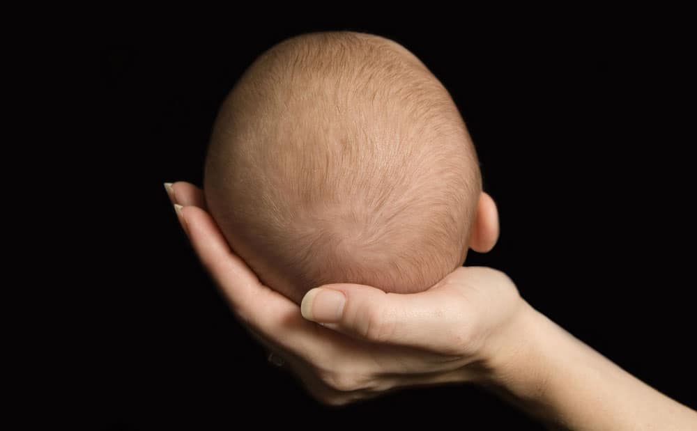 Когда должен зарастать родничок у новорожденного ребенка: все о мягком темечке грудничка от а до я