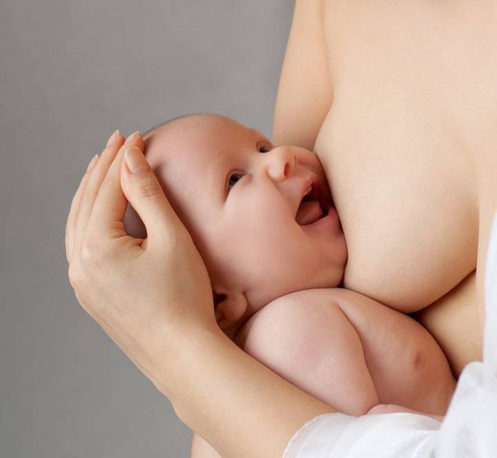 Процесс образования грудного молока и как ребенок сосет грудь » медицинская академия "генезис" клиника на ленинском 131
