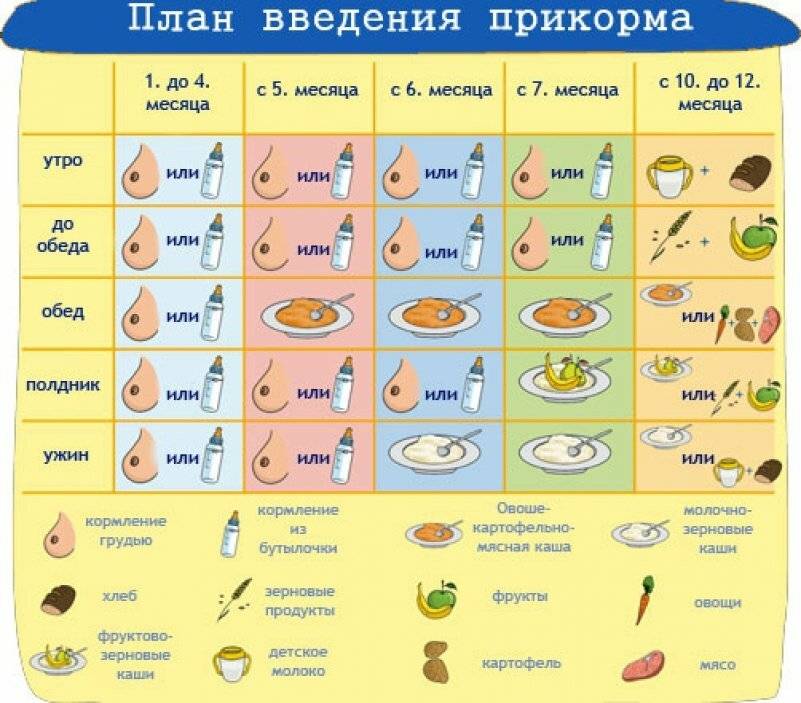 Картофельное пюре в меню грудничка: сроки, правила введения прикорма