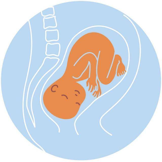 Звук засыпания для новорожденных в утробе, после рождения: как выбрать