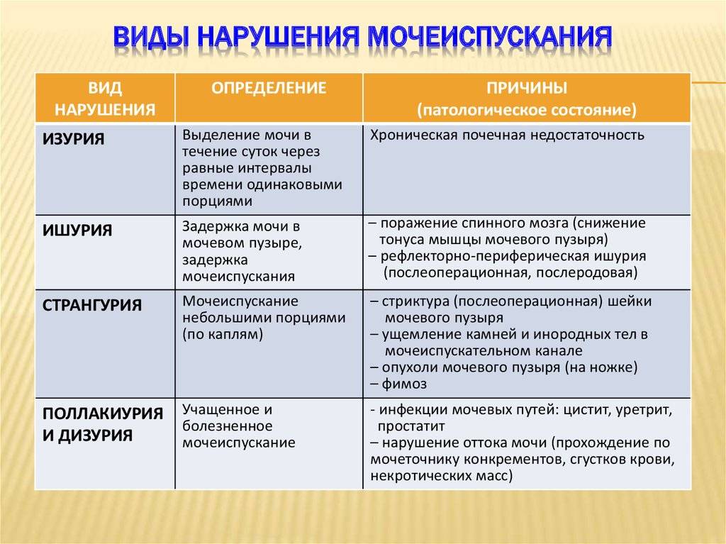 Как часто должен писать ребенок до года: нормы мочеиспускания, причины нарушений