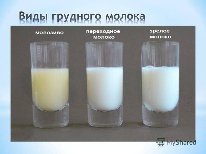 Почему грудное молоко стало прозрачным - топотушки