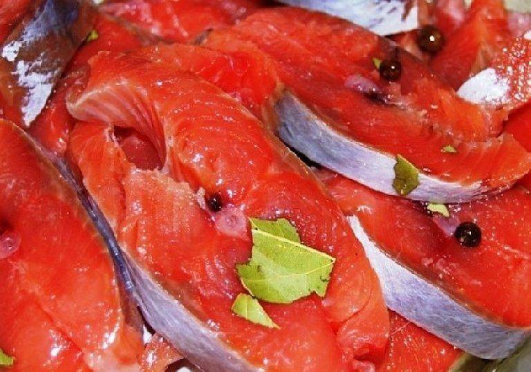 Можно ли беременным семгу слабосоленую, сушеную и вяленую красную рыбу: форель, горбушу, лосось?