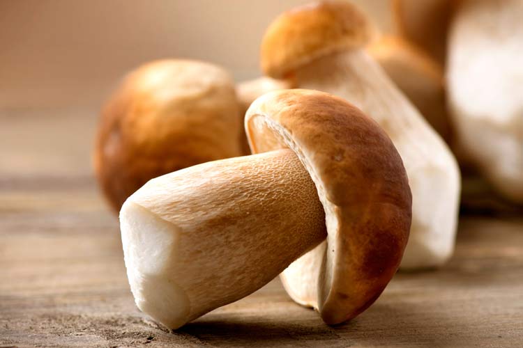 Можно ли есть чеснок, грибы (шампиньоны) и картошку при грудном вскармливании