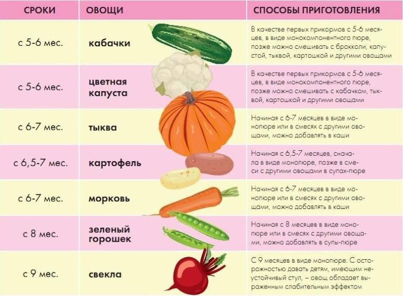 Прикорм овощами: последовательность, возраст ребенка и разрешенные продукты