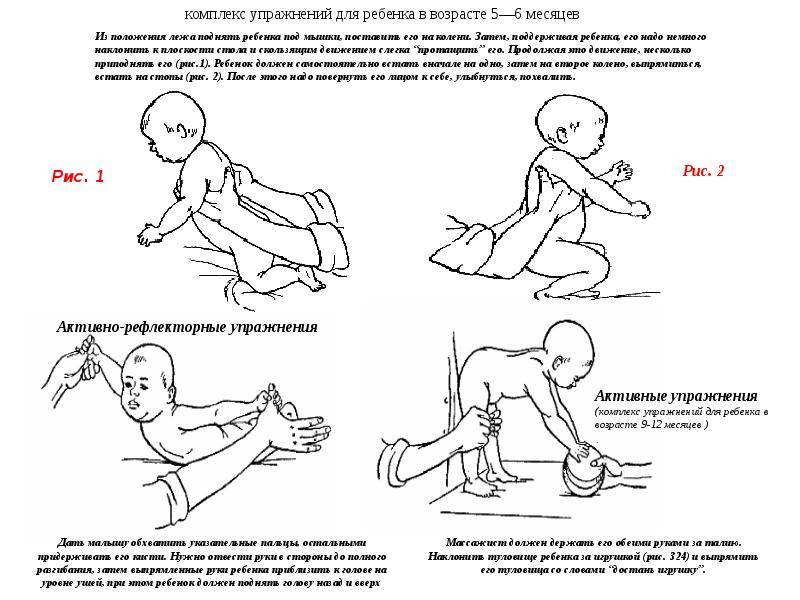 Массаж и гимнастика для ребенка с 6 до 9 месяцев: зарядка и видео-уроки с упражнениями для укрепления мышц спины