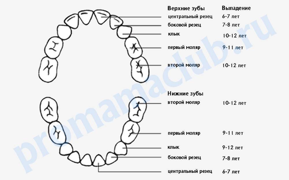Лечение молочных зубов: этапы, способы и цены