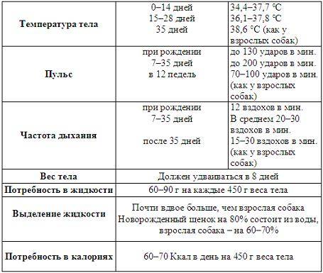 Физиологический ринит у новорожденного