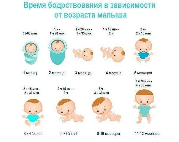 Сколько бодрствует грудничок в 3 месяца и примерный режим дня ребенка в три месяца • твоя семья - информационный семейный портал