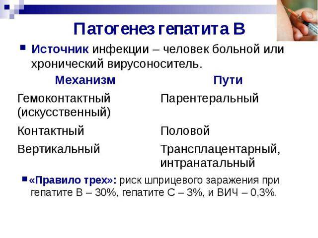 Гепатит в – пути передачи, риски заражения