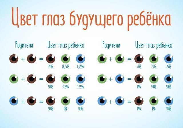 Цвет глаз родителей и цвет глаз ребенка. таблица, принципы и закономерности - sammedic.ru