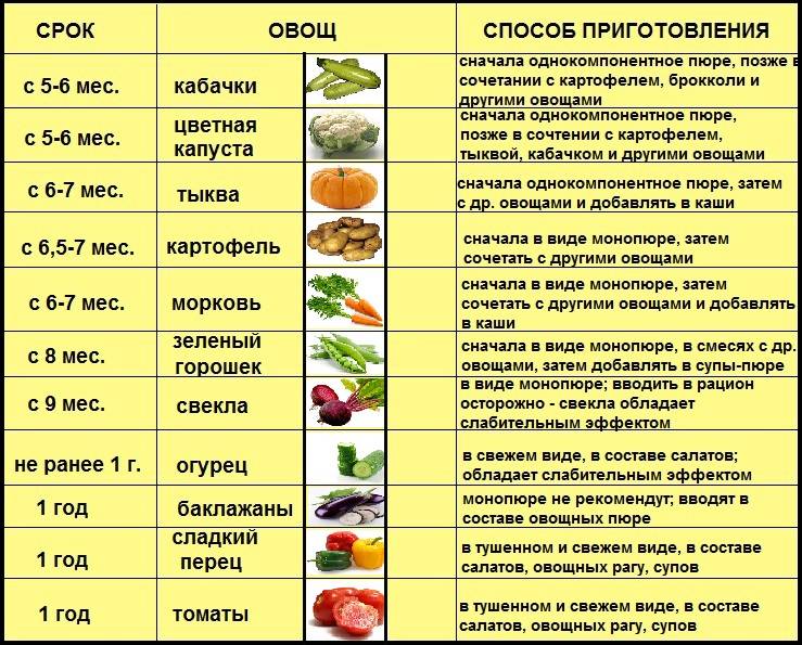 Когда хочется капусты, но страшно за ребенка: можно ли внести ее в рацион кормящей мамы при грудном вскармливании?