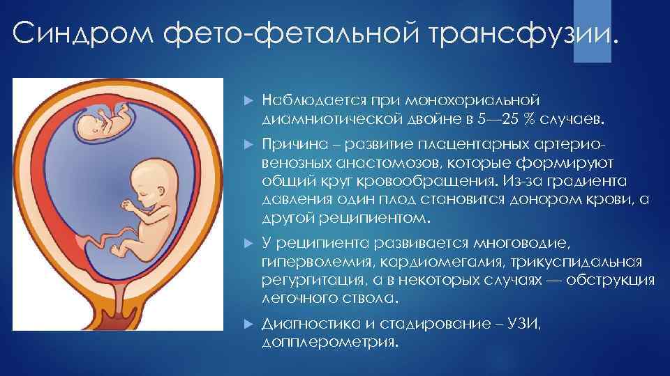 Все о редукции эмбрионов