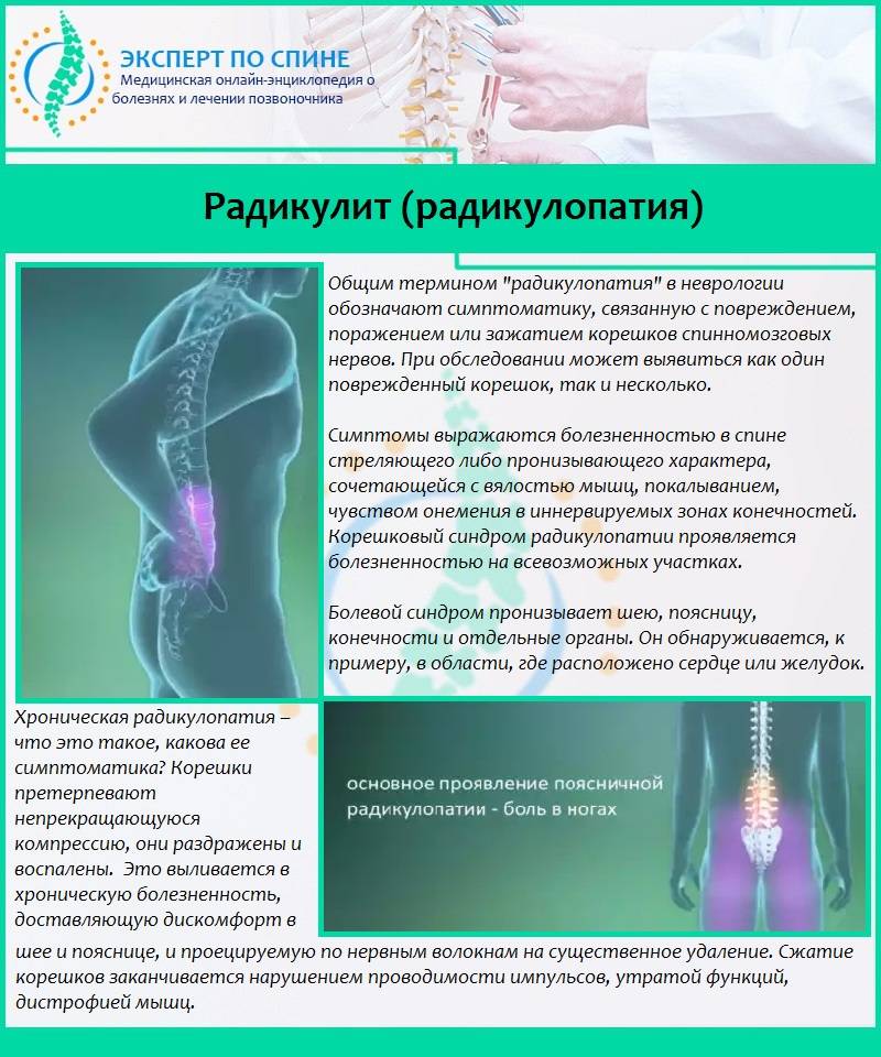 Боль под лопаткой: к какому врачу обращаться? причины боли под левой или правой лопаткой и между лопатками