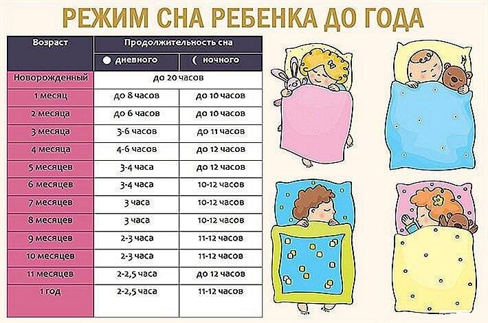 Сколько должен спать ребёнок в 2 месяца, существуют ли конкретные стандарты режимов сна днём и ночью в этом возрасте